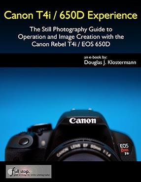 Canon T4i 650D Experience book manual guide how to use master tips tricks