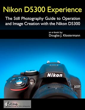 Nikon D5300 Experience book manual guide how to use learn tips tricks