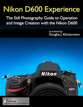 Nikon D600 Experience book manual guide how to use master tips tricks