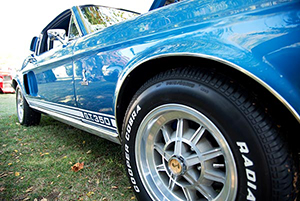 Nikon_D7200_Experience-Mustang