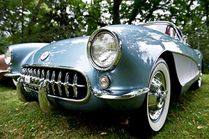 Nikon_D810_Experience-Vette-blue