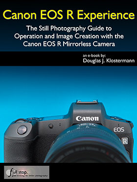 Canon EOS R Experience book manual guide how to master dummies learn