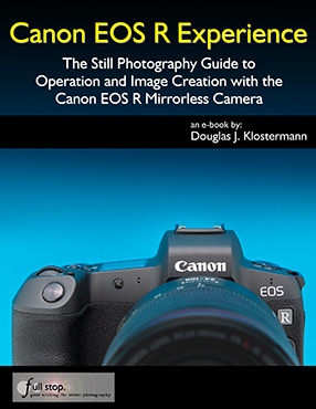 Canon EOS R Experience book manual guide how to master dummies learn