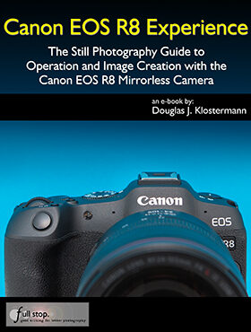 Canon EOS R8 mirrorless tips tricks learn manual book guide how to quick start dummies master autofocus AF