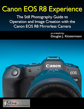 Canon EOS R8 mirrorless tips tricks learn manual book guide how to quick start dummies master autofocus AF
