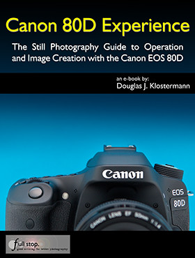 Canon 80D Experience