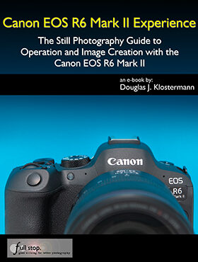 Canon EOS R6 Mark II R6II R62 MkII Mk2 mirrorless tips tricks learn manual book guide how to quick start dummies master autofocus AF